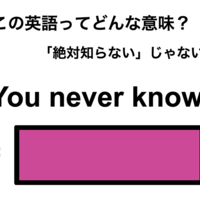 この英語ってどんな意味？「You never know.」