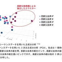 RNAシーケンスデータを用いた主成分分析