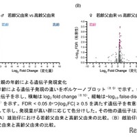 父親の年齢による遺伝子発現変化