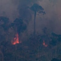 ブラジルの森林火災で試合が中断！「火が見える」衝撃映像がこれ