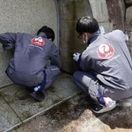 日航社員ら「慰霊の園」清掃