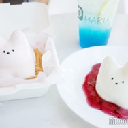 韓国発バズりスイーツ「猫プリン」って？ぷるぷる揺れる“かわいそ可愛い”動きが人気のヒミツ