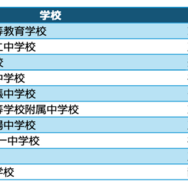 中学校ヒューリスティック部門 入賞校