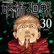 「呪術廻戦」29巻＆最終30巻2冊同時刊行 描きおろし漫画収録・新聞広告掲載も決定