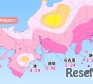 各エリアの桜開花予想・東海