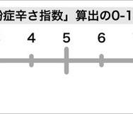 花粉症辛さ指数