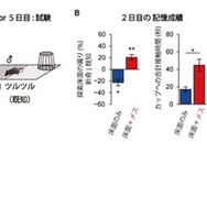 メスの提示による床面の記憶の強化