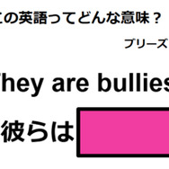 この英語ってどんな意味？「They are bullies. 」