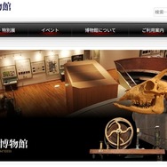 京都大学総合博物館