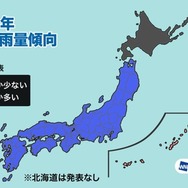 2025年梅雨の雨量傾向（平年比）
