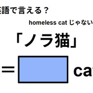 英語で「ノラ猫」はなんて言う？