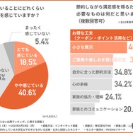 節約によるストレス