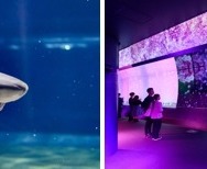 サメの種類日本一、大洗水族館で特別バックヤードツアー6/22