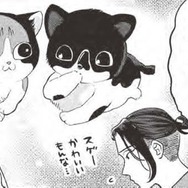 子猫二匹との出会いが運命を変える？…貧乏作曲家、里親へ一歩前進？【借金1000万作曲家の人生を変えてくれた猫の話 #３】