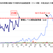 伝染性紅斑（リンゴ病）急増、妊婦は要注意…千葉県は警報レベルへ