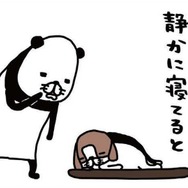 ヨボヨボの愛犬、14歳の梅吉。静かに寝てると思わず取ってしまう行動は？【パンダと犬 ＃24】