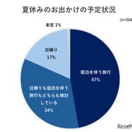 夏休みのお出かけの予定状況
