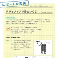 レポートの実例：実際の実験結果をまとめたレポートの例がついている