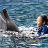 「Swimming with Dolphin～Deep emotion～」のようす