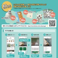 東京いきもの調査団 2025夏編 チラシ