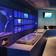 海の王者サメ～五感で知るサメの世界～