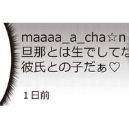 「彼氏との子だ」ママ友の裏アカをチェックしていたら、衝撃的な投稿が…【私の入院中に、旦那がセフレを作りました #16】