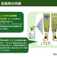 忌避剤の効果