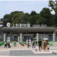 恩賜上野動物園