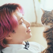 Snow Man佐久間大介、新CMで猫に囲まれ笑顔 愛猫との秘話も「可愛いなと思います」