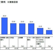 負担と感じる子育て費用