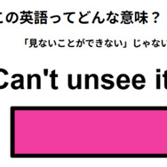 この英語ってどんな意味？「Can’t unsee it.」