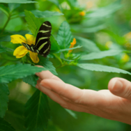 虫が大の苦手な私　洗濯物も外に干せなかったが⇒出産を機に「自分でもびっくり」