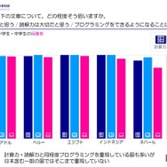プログラミングや勉強についての大切度（海外の回答）