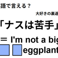 英語で「ナスは苦手」は何て言う？