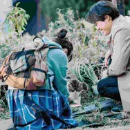 『楓』2025 映画『楓』製作委員会