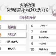 2025年いちばん沼ったものは？