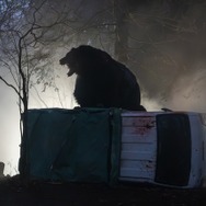 『ヒグマ!!』©2025映画「ヒグマ!!」製作委員会