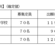 2024年度の出願状況（確定値）