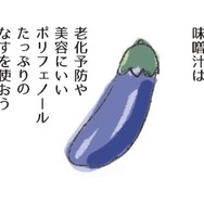 茄子は、老化防止や美容にいいポリフェノールがたっぷり。さらに吸収をよくするには？【激せまキッチンで時短！簡単！ムダなしごはん #３】