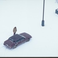 『ファーゴ 4K』FARGO © 1996 Orion Pictures Corporation. All Rights Reserved.