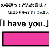 この英語ってどんな意味？「I have you.」