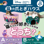 デザインはSNS上のアンケートで決定