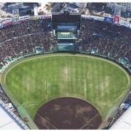 第98回選抜高等学校野球大会