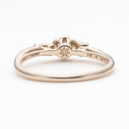 Sunlit Blossom　［サンリット ブロッサム ‐光に導かれて‐］