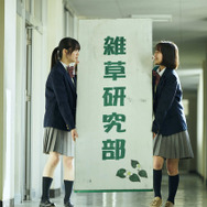 『ザッケン！』　2026上村奈帆・モノガタリラボ・プクプク／小学館／『ザッケン！』製作委員会