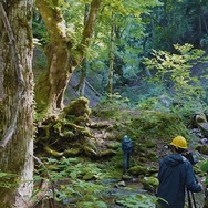 ドキュメンタリー映画『WITH』©2026 映画「WITH」製作委員会