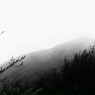 『悲しくて美しい世界／THIS IS SPARKLEHORSE』