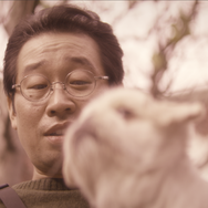 『犬も歩けば』