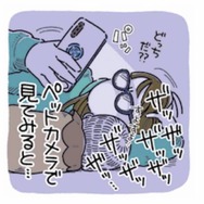 「ザッザッザッ」夜に響くトイレ音…ペットカメラに映っていたのは？【猫がおしりを向けてきます #２】