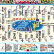 「一家に1枚　ヒトゲノムマップ」